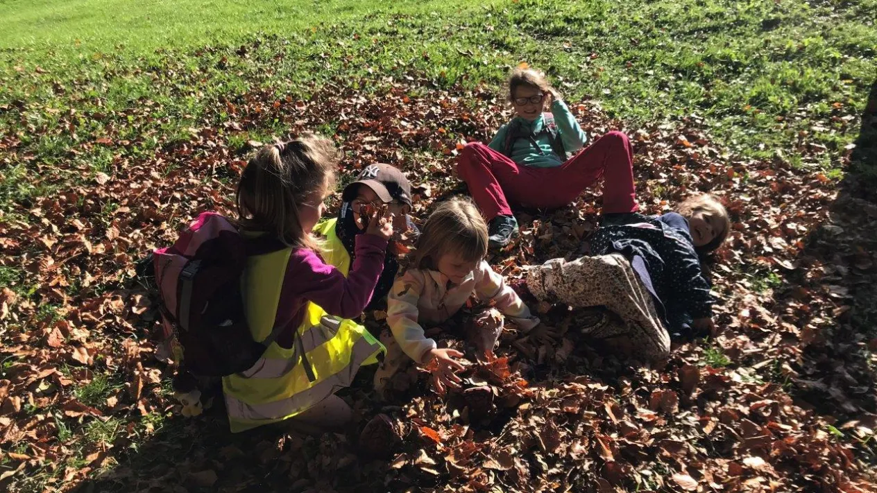 Herbstlager Blätterhaufen Herbstlager Blätterhaufen