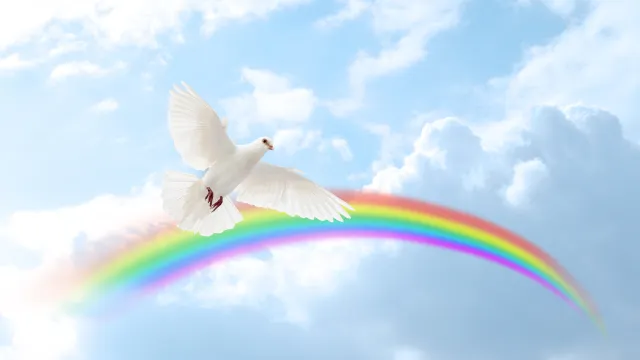 Teaserbild_202412_frieden_gross Teaserbild_202412_frieden_gross