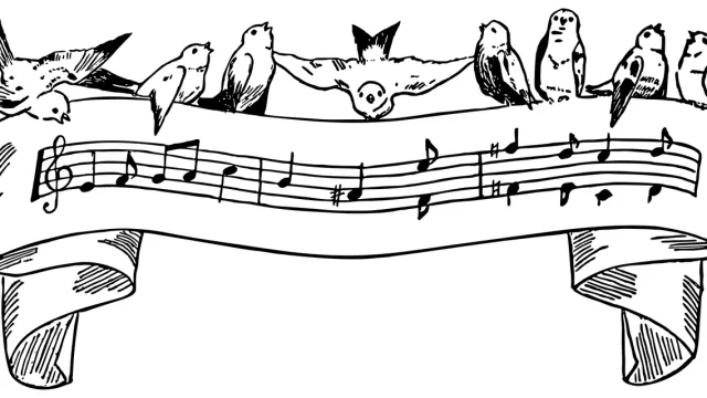 birds-7717268_1280 (Foto: Pixabay) birds-7717268_1280 (Foto: Pixabay)